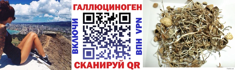Галлюциногенные грибы Cubensis  мега зеркало  Отрадный 